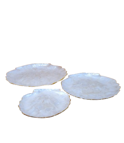 bandeja_nacar-removebg-preview