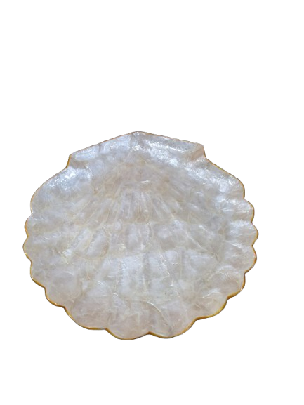 bandeja_nacar1-removebg-preview