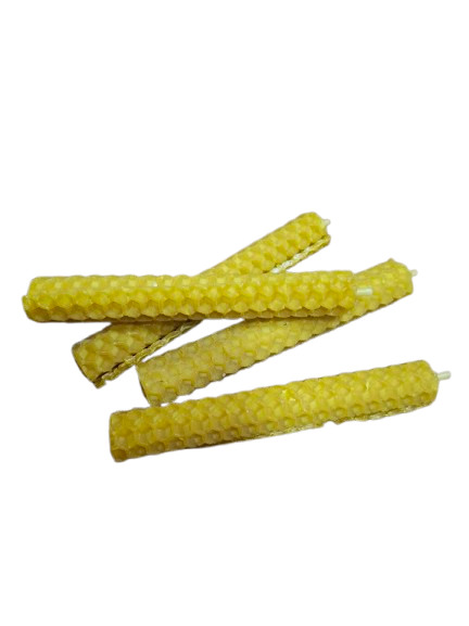 20260210_175331-removebg-preview