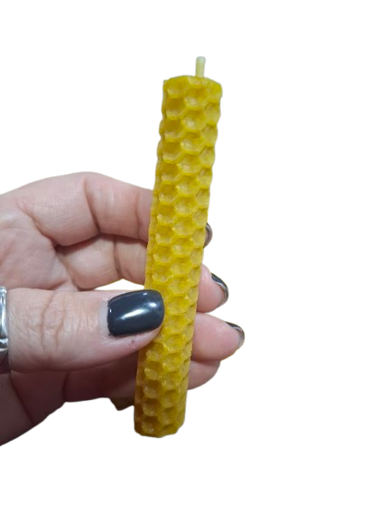 20260210_175343-removebg-preview